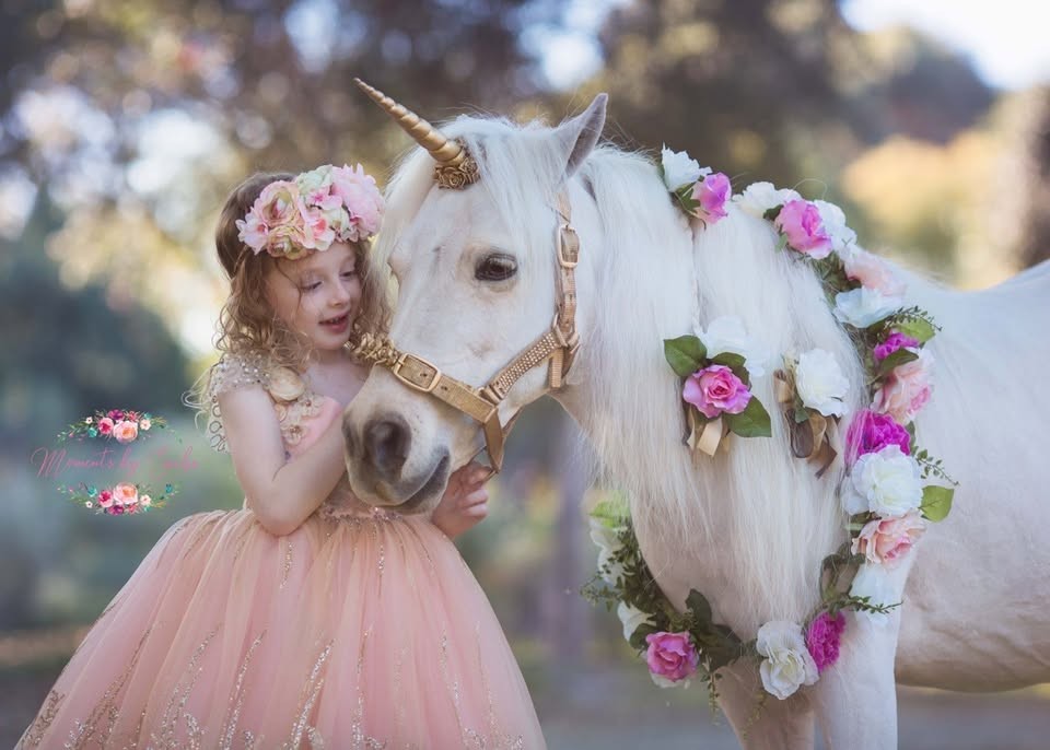 Unicorns By The Sea - A World Of Magic and Wonder